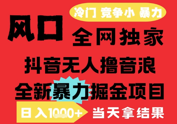 25年6月高爆抖音无人直播最新撸音浪掘金项目，解放双手小白可做，无脑日入1k+，门槛低【揭秘】-大齐资源站