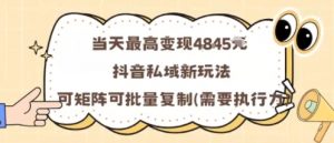 当天最高变现1k+，抖音私域新玩法，可矩阵可批量复制-大齐资源站
