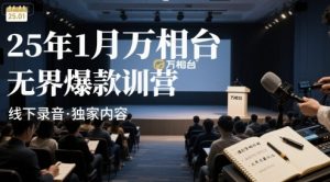 25年1月万相台无界爆款特训营线下录音-大齐资源站