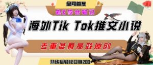 海外tiktok小说推文暴力项目,高停留率,高转化率,上手后一天搞顿饭钱不是问题-大齐资源站