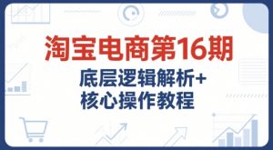 淘宝电商第16期，底层逻辑解析+核心操作教程，运营、推广提升能力的必学课程+配套资料-大齐资源站