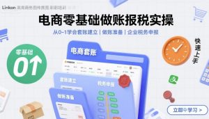 电商零基础做账报税实操快速上手，从0-1学会套账建立，做账准备，企业税务申报-大齐资源站