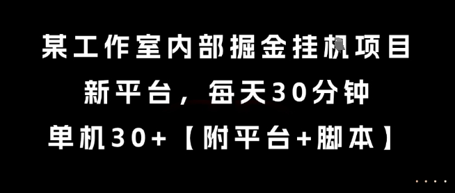 某工作室内部掘金挂G项目，新平台，每天30分钟，单机30+【揭秘】-大齐资源站