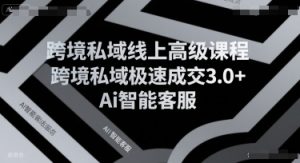跨境私域线上高级课程,跨境私域极速成交3.0+Ai智能客服-大齐资源站