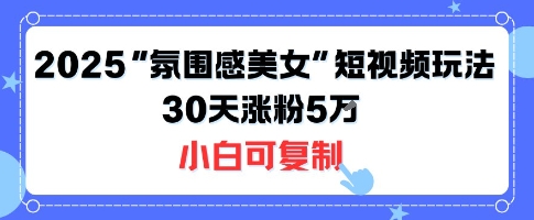不露脸也能火！2025“氛围感美女”短视频玩法，30天涨粉5W小白可复制-大齐资源站