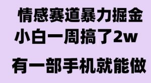 情感暴力掘金项目，新人操作一周挣了2W，长期稳定小白可做【揭秘】-大齐资源站