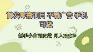 首发零撸项目 不看广告 手机可做 新手小白可以做  月入3k+【揭秘】-大齐资源站