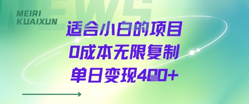 适合小白的项目0成本无限复制单日变现4张+-大齐资源站