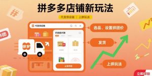 拼多多店铺新玩法,代发供应链上拼玩法-大齐资源站