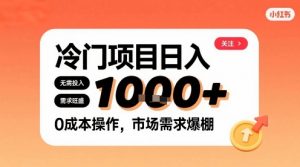 在小红书上发现个冷门路子，需求不小，零成本操作，每天能有1k进账-大齐资源站