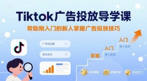 Tiktok广告投放导学课，帮助刚入门的新人掌握广告投放技巧-大齐资源站