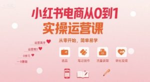 小红书电商从0到1实操运营课，从零开始，简单易学-大齐资源站