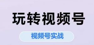 玩转视频号,视频号实战系列课-大齐资源站