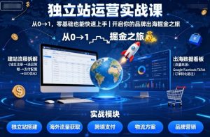 独立站运营实战课,从0到1,零基础也能快速上手,开启你的品牌出海掘金之旅-大齐资源站
