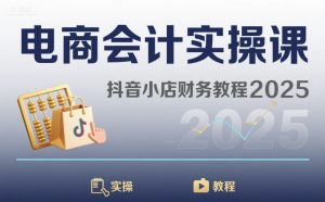 电商会计实操课-抖音小店财务教程2025-大齐资源站