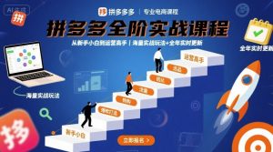 拼多多全阶实战课程，从新手小白到运营高手，海量实战玩法+全年实时更新【2025年9月更新】-大齐资源站