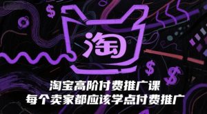 淘宝高阶付费推广课,每个卖家都应该学点付费推广-大齐资源站