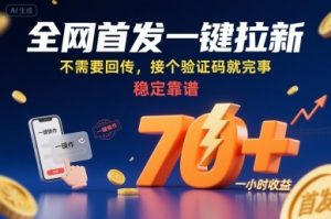 全网首发一键拉新项目，不需要回传，接个验证码就完事，稳定靠谱，一小时收益70+【揭秘】-大齐资源站