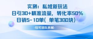 实测私域新玩法日引30加精准流量转化率50%日销5-10单每笔3张-大齐资源站
