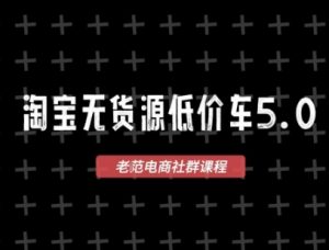 淘宝无货源2025VIP教程，​最新的淘宝无货源课程，1688代发，蓝海选品，零成本创业首选-大齐资源站