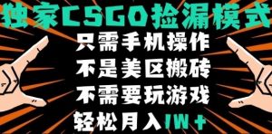 CSGO自动捡漏项目，最新独家玩法，不是美区搬砖，不需要了解和玩游戏，新手小白轻松月入1W+【揭秘】-大齐资源站
