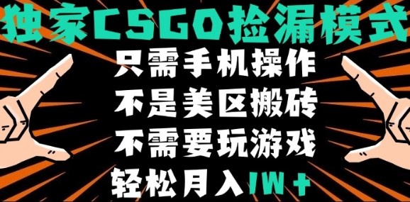 CSGO自动捡漏项目，最新独家玩法，不是美区搬砖，不需要了解和玩游戏，新手小白轻松月入1W+【揭秘】-大齐资源站