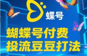 2025蝴蝶号付费投流豆豆打法，助新手快速掌握付费流量撬动自然流的核心玩法-大齐资源站