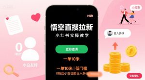悟空直搜拉新小红书实操教学，一单10米，低门槛，0粉丝小白也能日入多张-大齐资源站