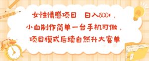 女性情感项目 小白制作简单一台手机可做 项目模式后续自然升大客单 日入6张-大齐资源站