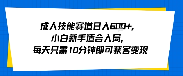 成人技能赛道日入多张，小白新手适合入局，每天只需10分钟即可获客变现-大齐资源站