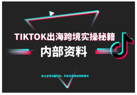 TikTok跨境电商0-1搭建运营，TK出海跨境实操秘籍（10月更新）-大齐资源站