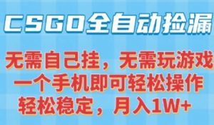 CSGO自动捡漏项目，最新独家玩法，一个手机可操作，新手小白轻松月入1W+，操作简单易上手【揭秘】-大齐资源站