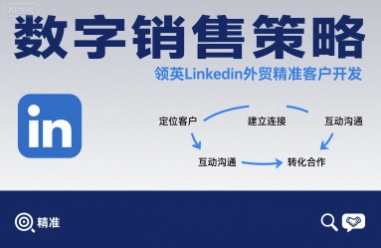 数字销售策略领英LinkedIn外贸精准客户开发-大齐资源站