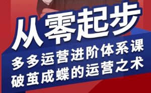 拼多多运营进阶系统课,从零起步,多多运营进阶体系课,破茧成蝶的运营之术(更新9月)-大齐资源站