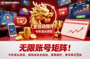 无限账号矩阵!今年龙头项目,游戏试玩全自动,简单操作,单号单日5张【揭秘】-大齐资源站