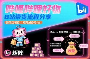 哔哩哔哩好物，B站带货流程分享，新风口项目，矩阵操作月1W-大齐资源站