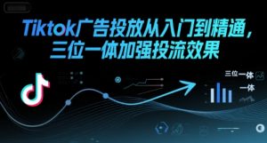 Tiktok广告投放从入门到精通,三位一体加强投流效果-大齐资源站