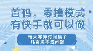 首码零撸项目，有快手就可以做，每天业务时间搞个几张不是问题【揭秘】-大齐资源站