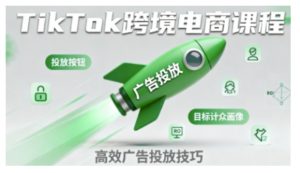 TikTok跨境电商全流程实操课，助力从业者掌握TikTok跨境电商运营核心技能，高效开展业务-大齐资源站