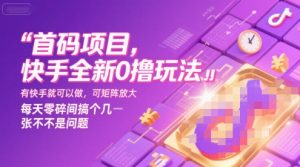 首码项目，快手全新0撸玩法，有快手就可以做，可矩阵放大，每天零碎时间搞个几张不是问题【揭秘】-大齐资源站