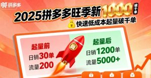 2025拼多多旺季新老店铺——快速低成本起量破千单-大齐资源站