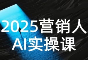 2025营销人Al实操课，AI营销抢跑实战，从Prompt到方案，效率碾压同行-大齐资源站