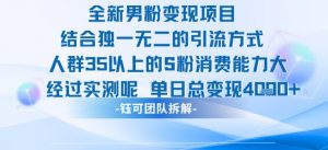 全新男粉变现项目引流人群35以上的男粉消费能力大 经过实测单日变现1k+-大齐资源站