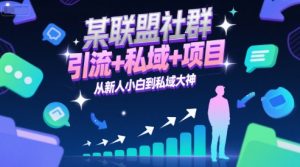 某联盟社群，引流+私域+项目，从新人小白到私域大神-大齐资源站