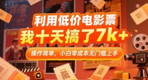 利用低价电影票，我十天搞了7k+，操作简单，小白零成本无门槛上手【揭秘】-大齐资源站