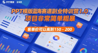 PPT模版蓝海赛道副业特训营1.0，项目非常简单粗暴，客单价可以高到150-200-大齐资源站