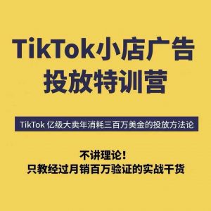 TikTok小店广告投放特训营，6天破局计划专治各种“投不动”，教你经过月销百万验证的实战干货-大齐资源站