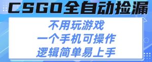 CSGO自动捡漏项目，最新独家玩法，不用挂G不用玩游戏，一个手机即可操作，新手小白轻松月入1W+【揭秘】-大齐资源站