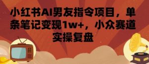 小红书AI男友指令项目，单条笔记变现1w+，小众赛道实操复盘-大齐资源站