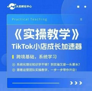 大卖家孵化中心TikTok实操课，TikTok小店成长加速器，跨境基础系统学习，一步一步带你开店-大齐资源站